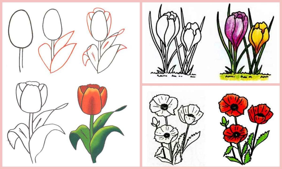 Легкие рисунки поэтапно для начинающих цветы фото