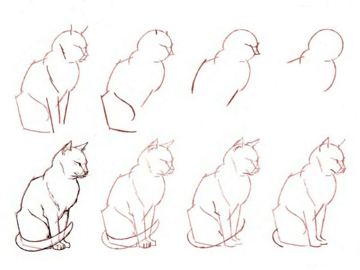 Легкие рисунки поэтапно для начинающих животные фото