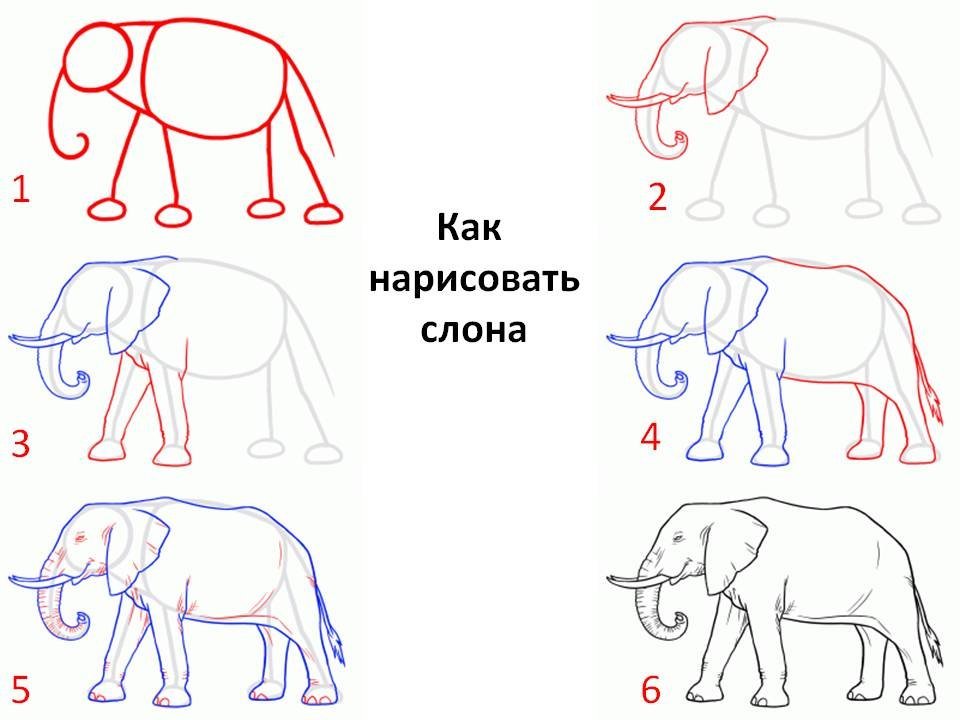 Легкий рисунок слона поэтапно фото