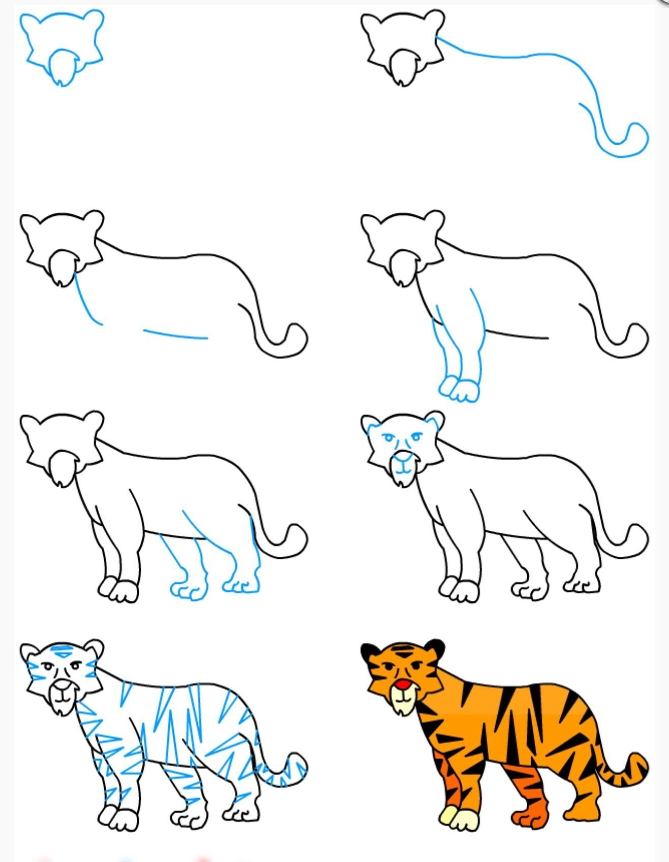 Легкий рисунок тигра для начинающих фото