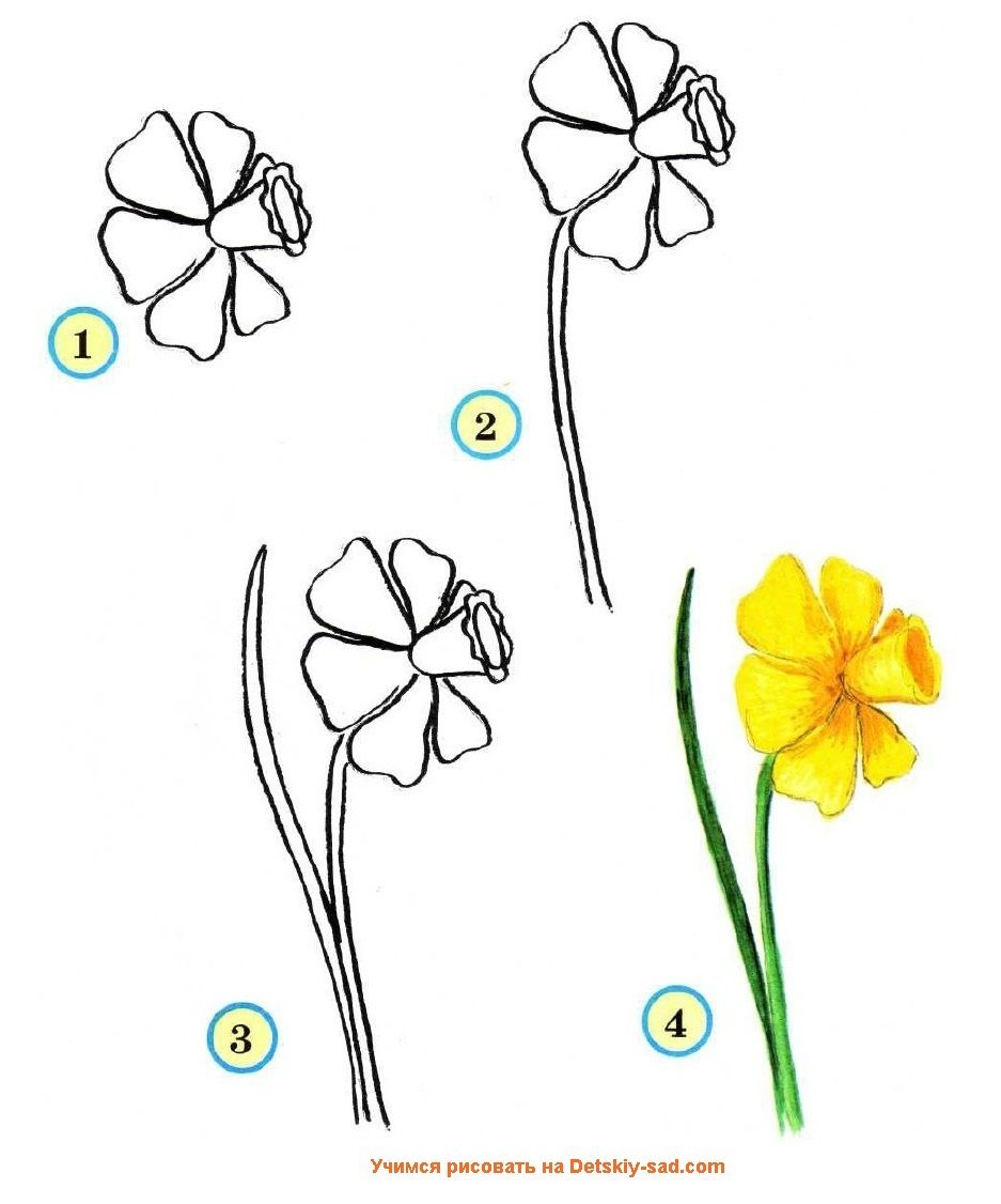 Легкий рисунок цветка для начинающих фото