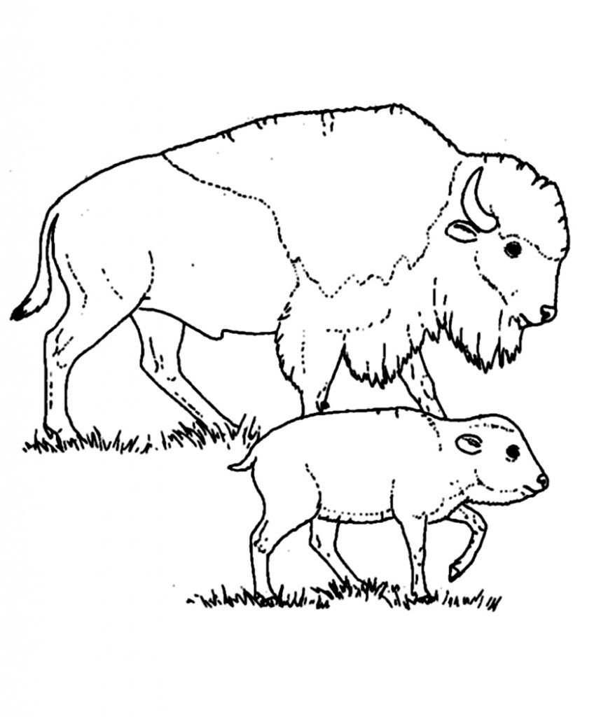 Легкий рисунок животного с детенышем фото