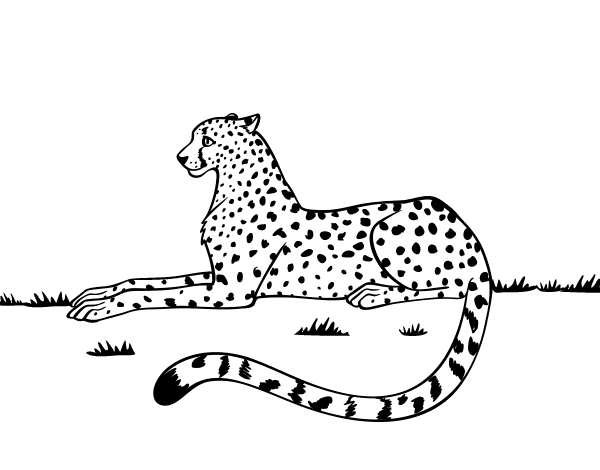 Леопард детский рисунок фото