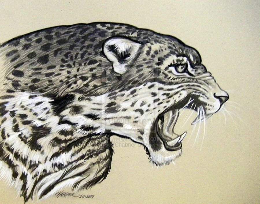 Леопард рисунки тату фото