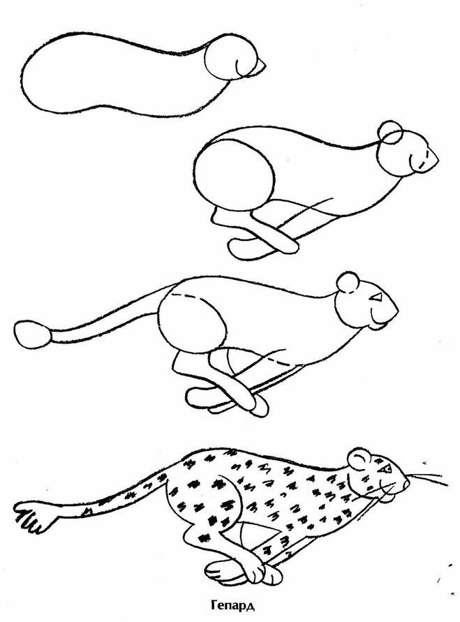 Леопард рисунок для детей карандашом поэтапно легко фото