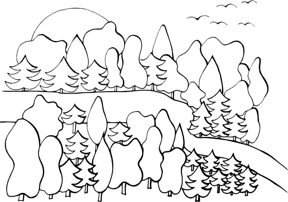 Лес контурный рисунок фото