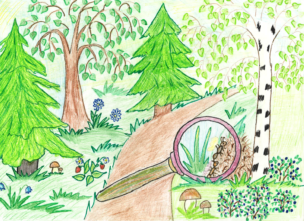 Лес рисунок простой детский фото