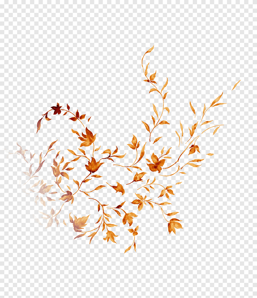 Летящие кленовые листья на прозрачном фоне фото