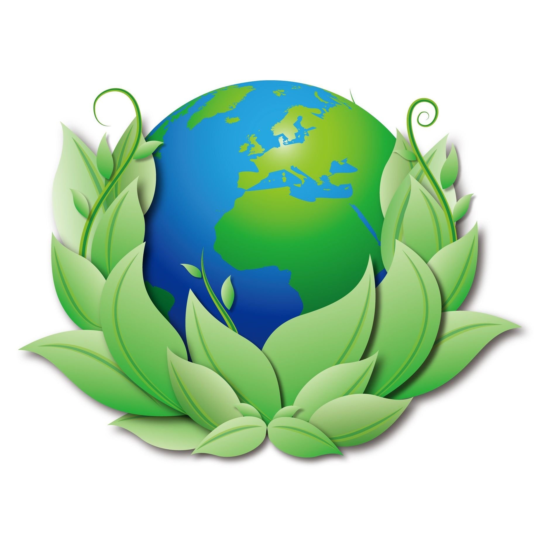 Логотип природы с прозрачным фоном фото