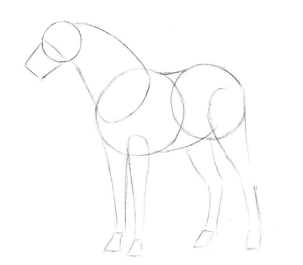 Лошадь рисунок карандашом для детей поэтапно легко фото