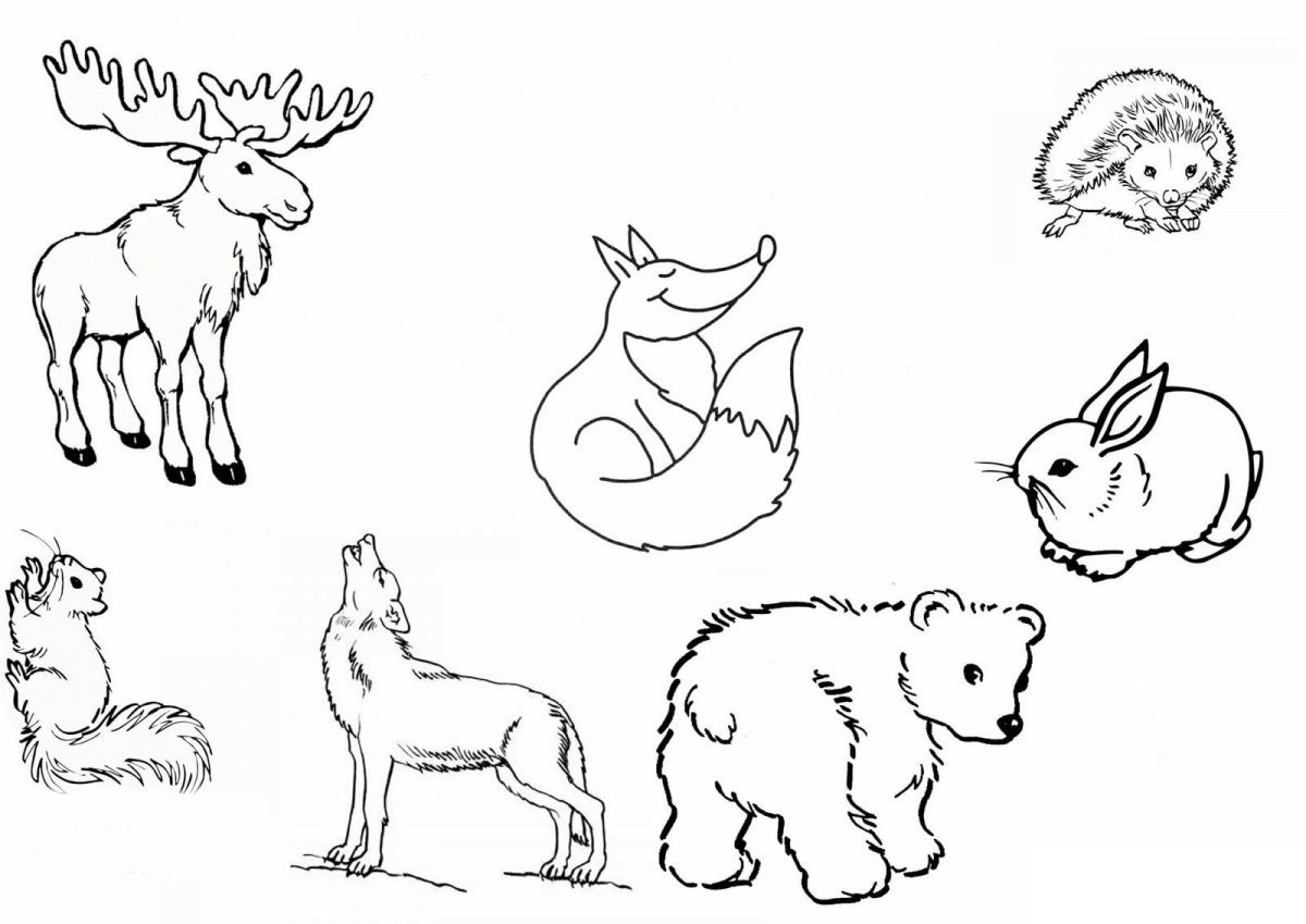 Маленькие рисунки домашних животных фото