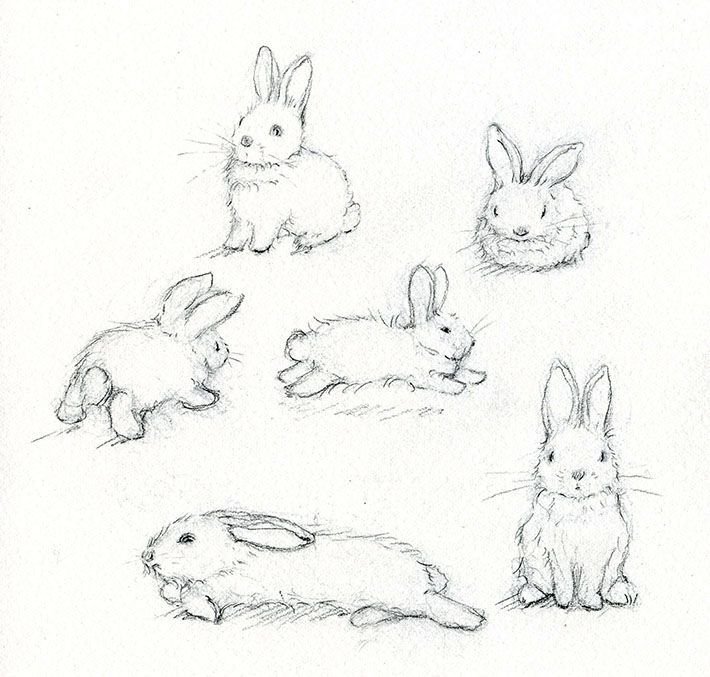 Маленькие рисунки животных карандашом поэтапно фото