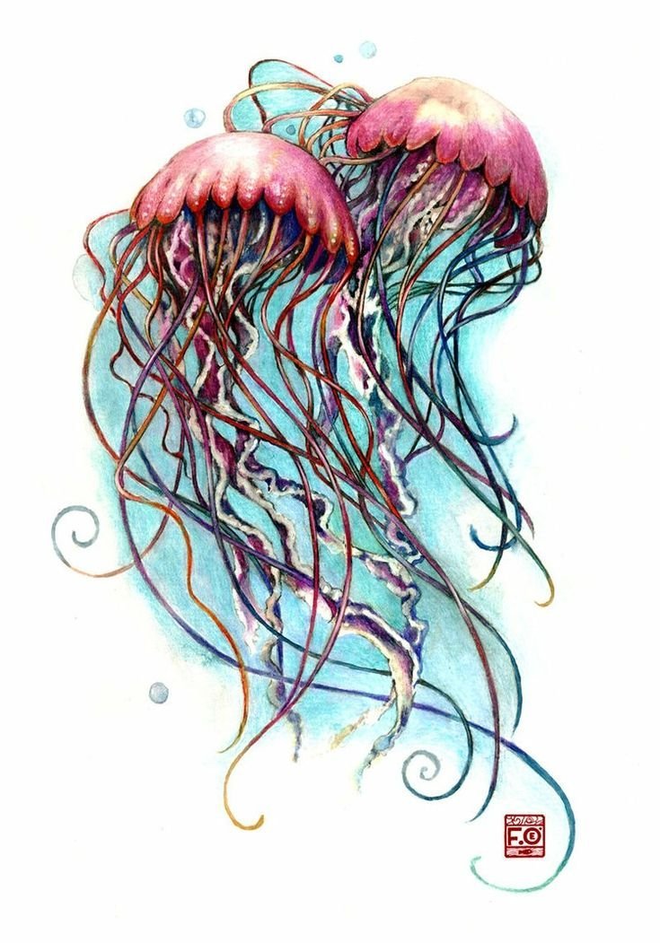 Медуза рисунок арт фото