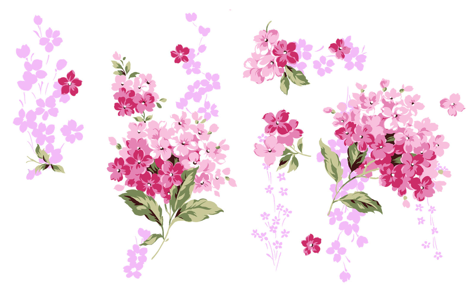Мелкие цветы на прозрачном фоне фото