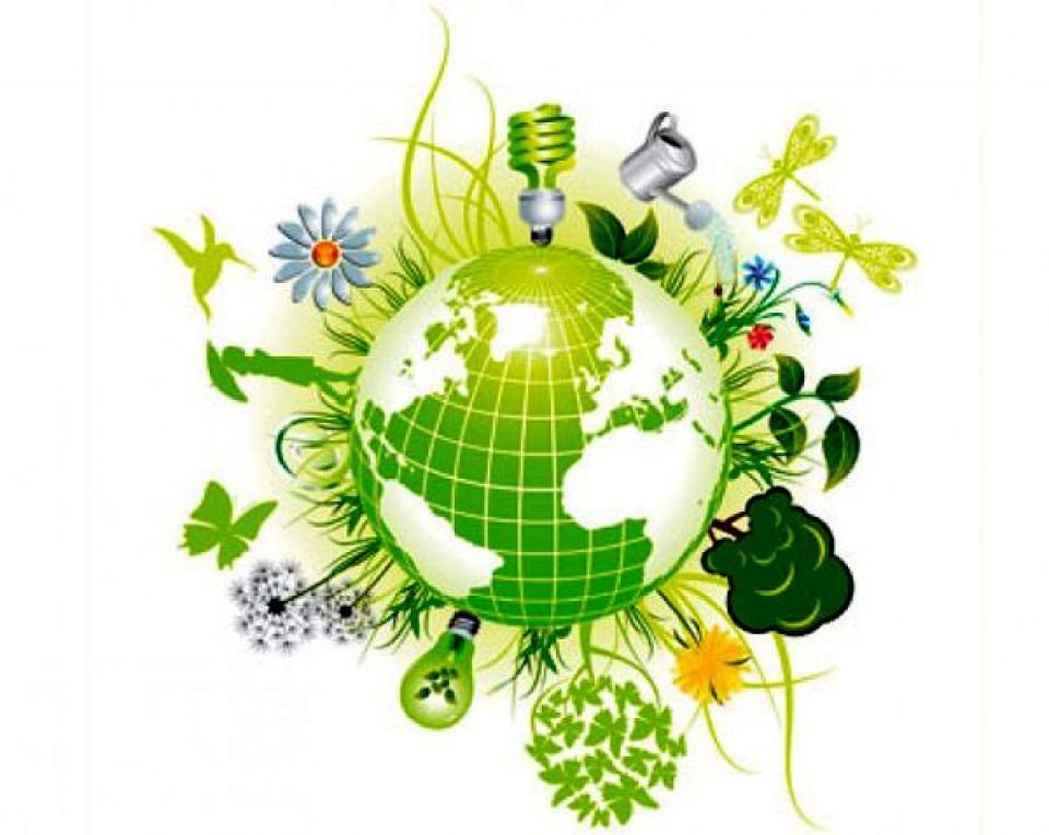 Международный день окружающей среды рисунок символ фото