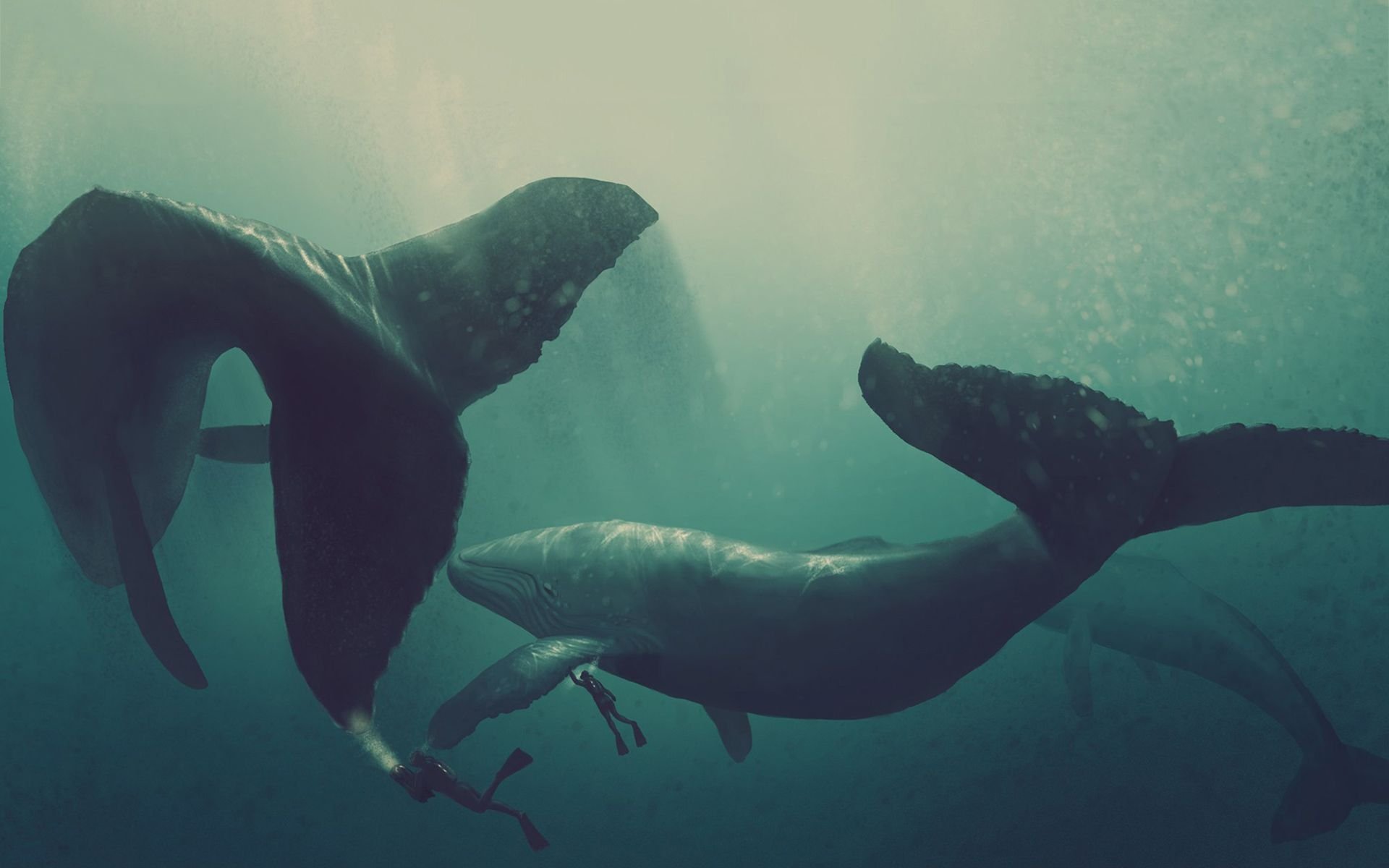 Миры на китах обои фото