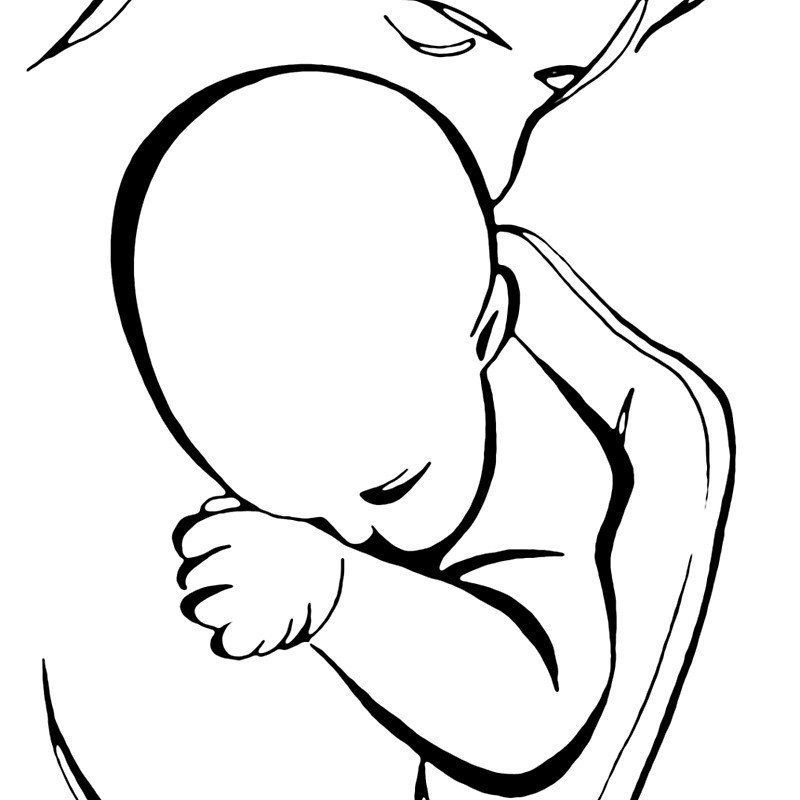 Младенец контурный рисунок фото