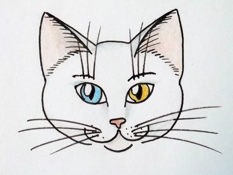 Морда кота поэтапно рисунок фото