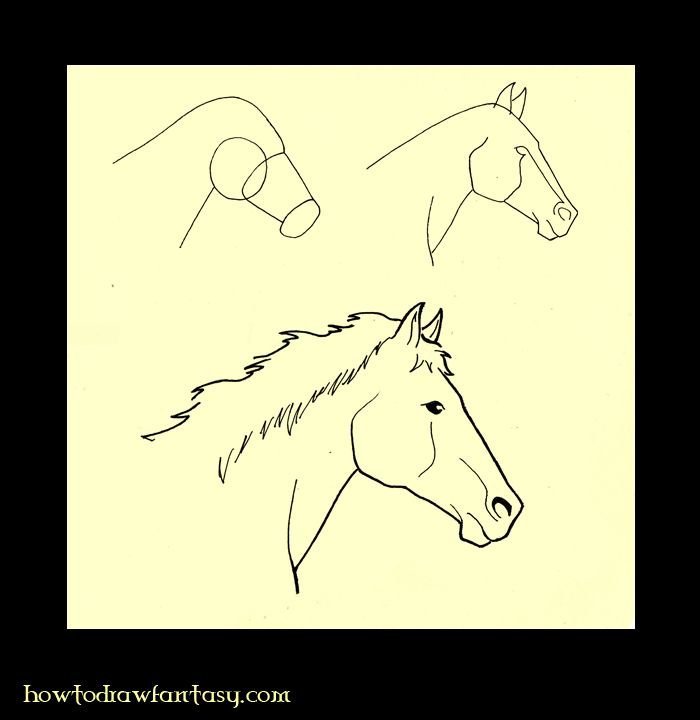 Морда лошади рисунок поэтапно фото