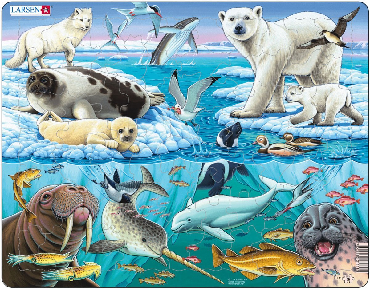 Море с животными рисунок фото
