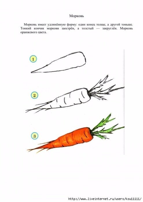 Морковь рисунок для детей поэтапно фото