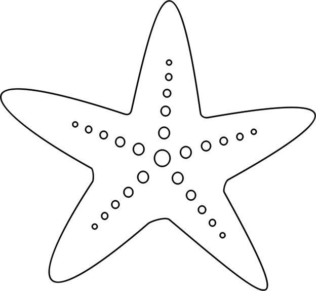 Морская звезда рисунок трафарет фото