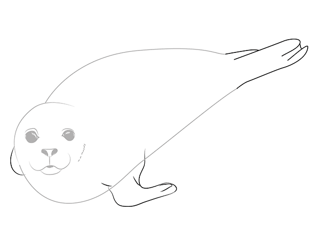 Морской котик детский рисунок фото