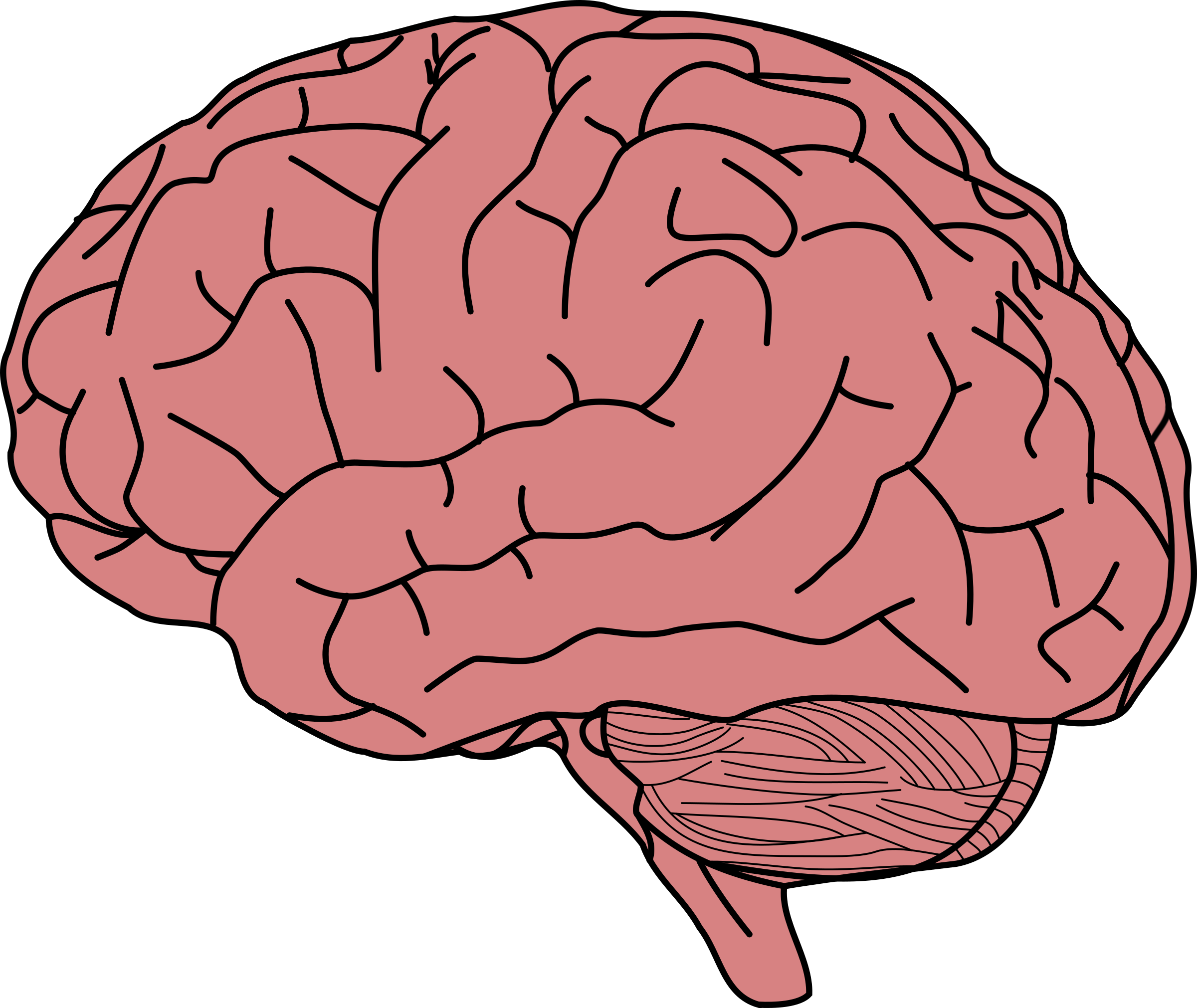 Мозг детский рисунок фото