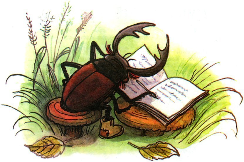 Мусоргский детская жук рисунок фото