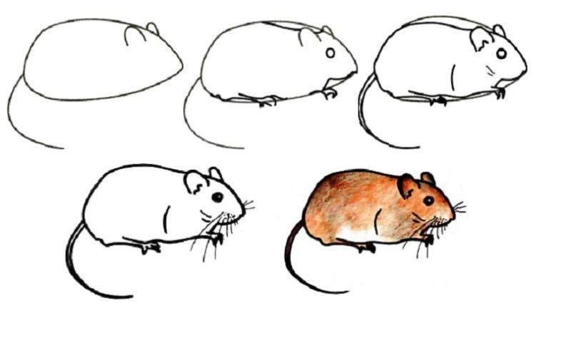 Мышь рисунок простой поэтапно фото
