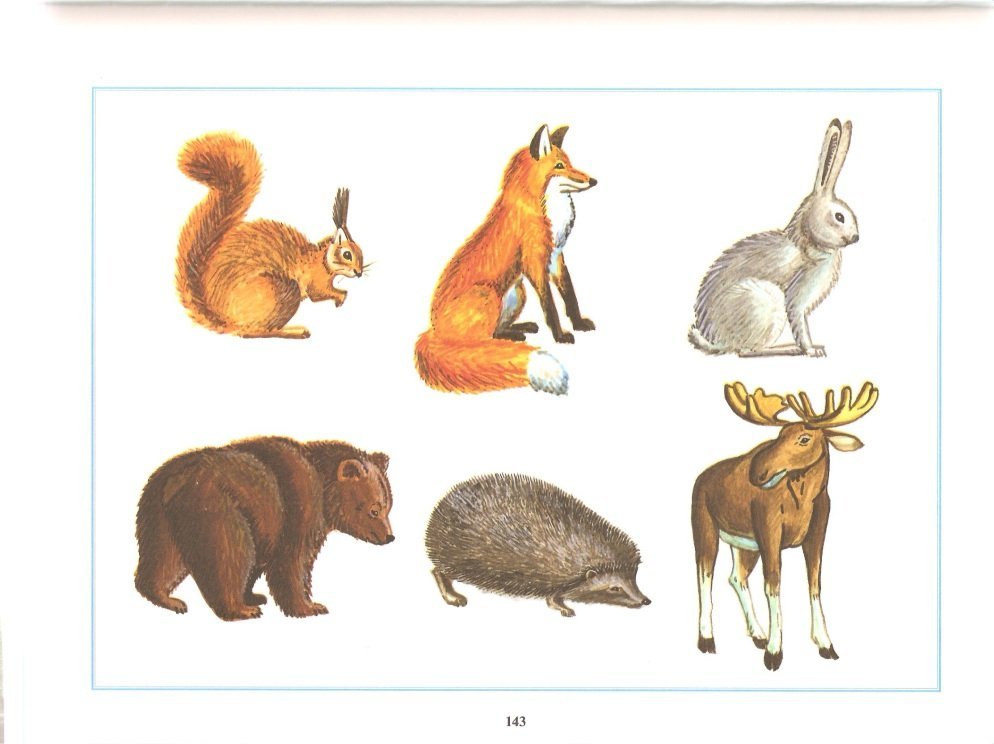 Назови животных изображенных на рисунке фото