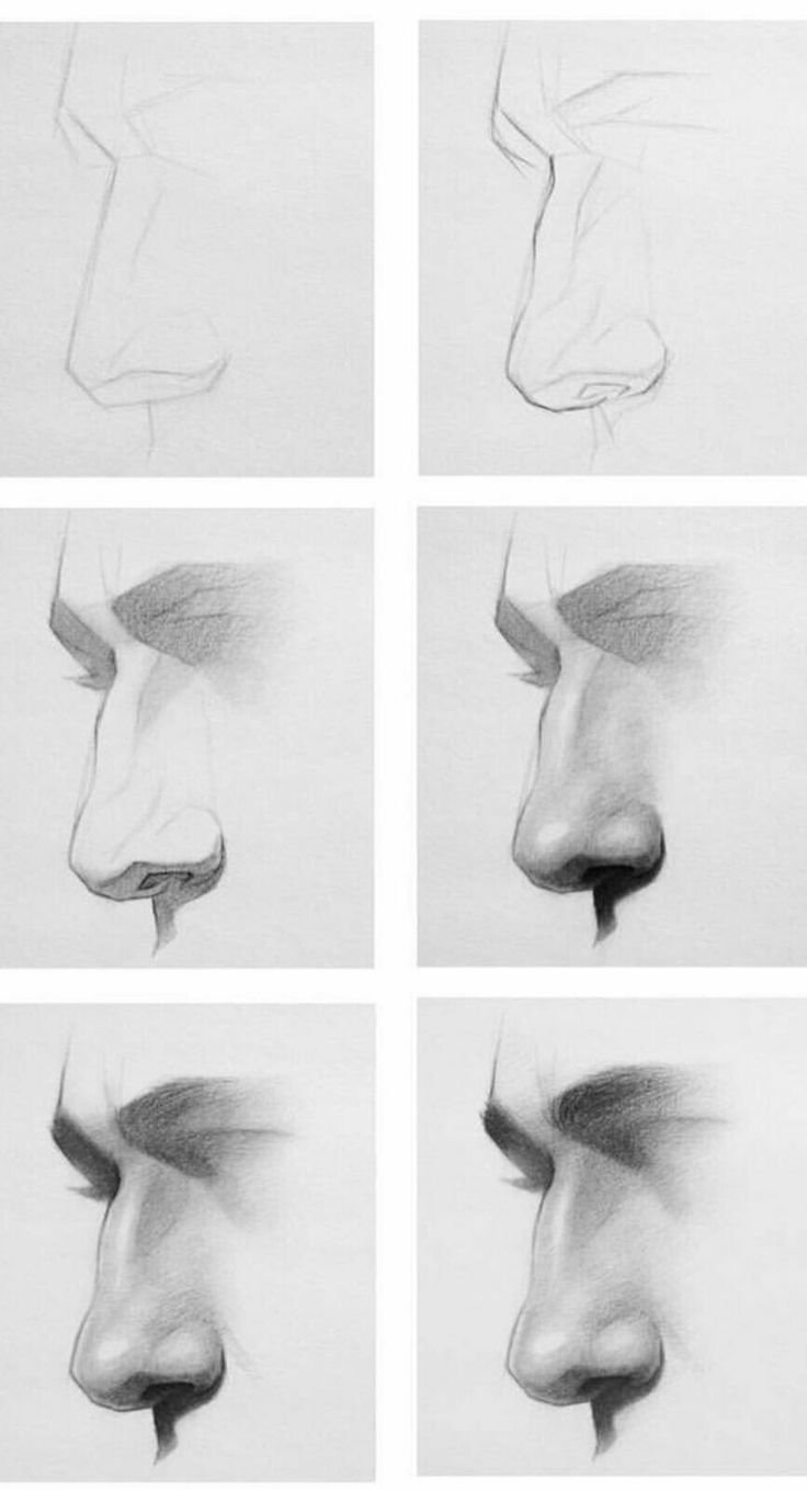 Нос в профиль рисунок поэтапно фото