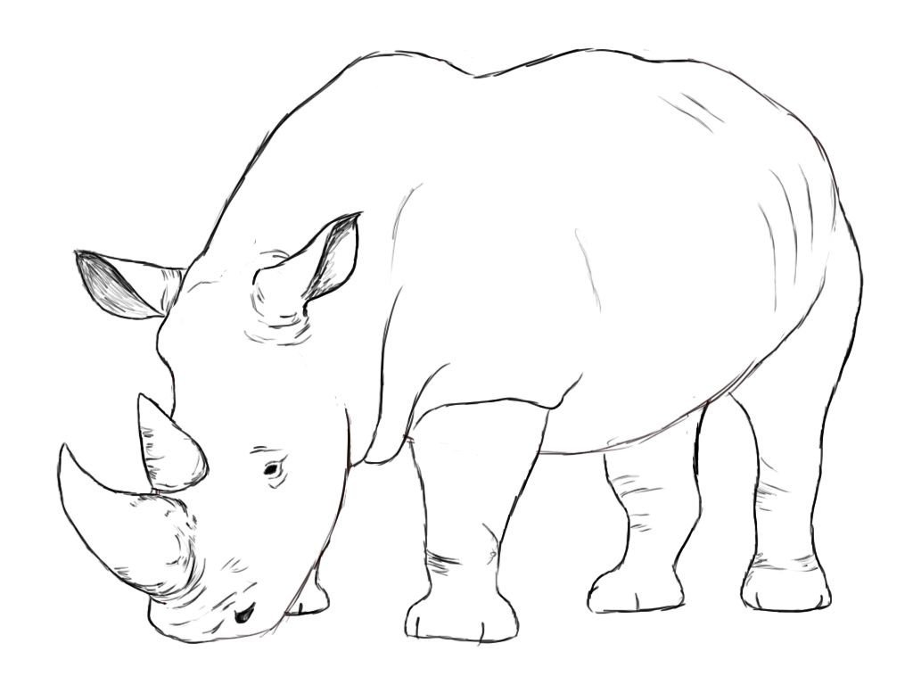 Носорог рисунок для детей поэтапно фото