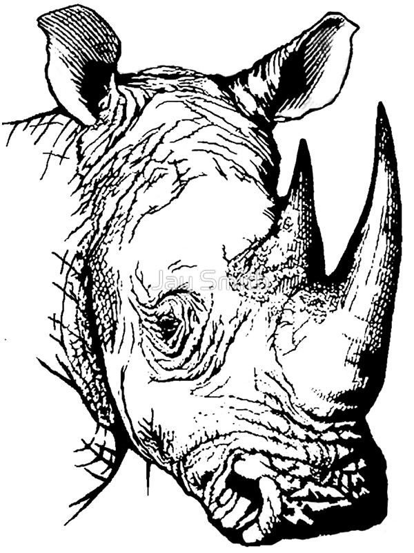 Носорог рисунок трафарет фото