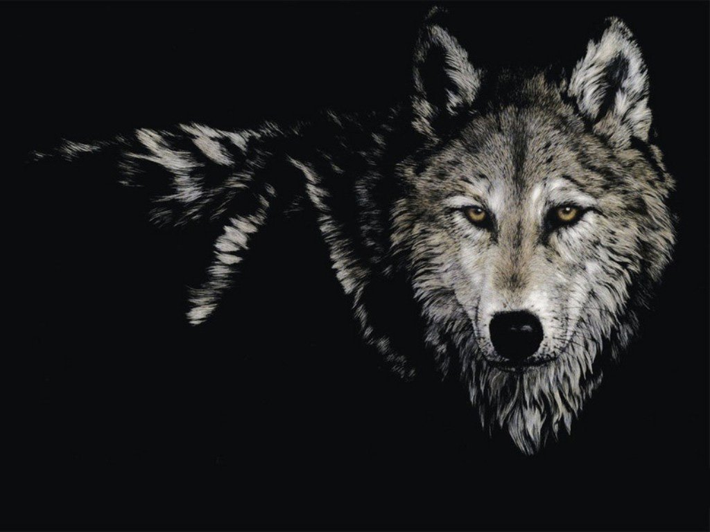 Обои волки надписи фото