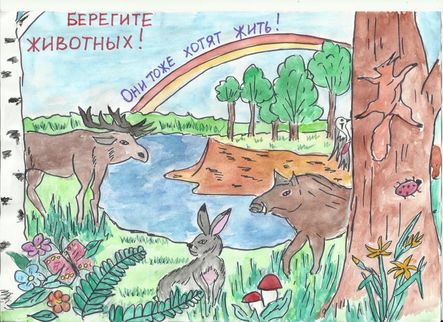 Охраняемые растения и животные россии рисунки детей фото
