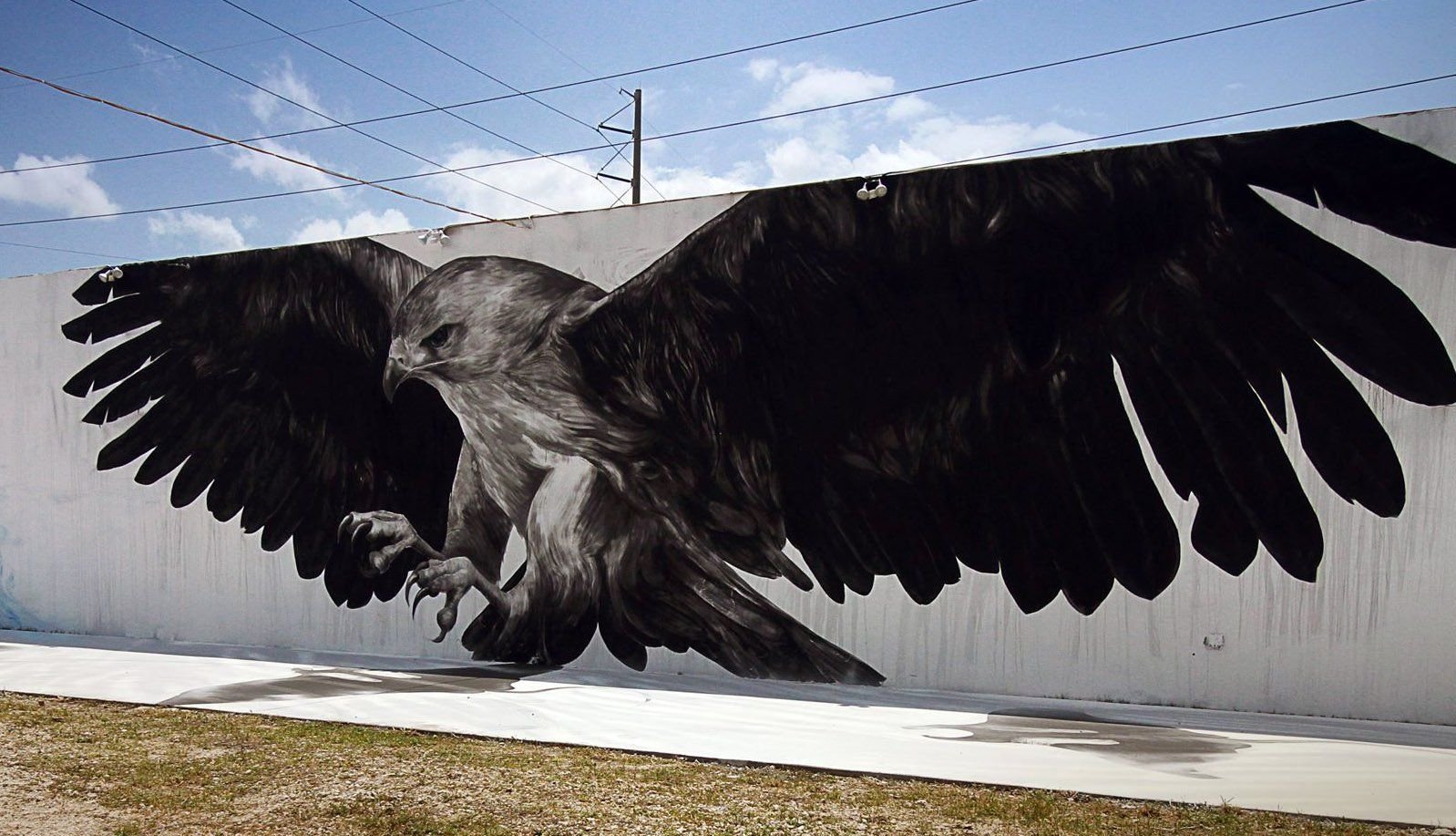 Орел рисунок граффити фото