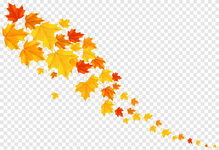 Осень листья на прозрачном фоне фото
