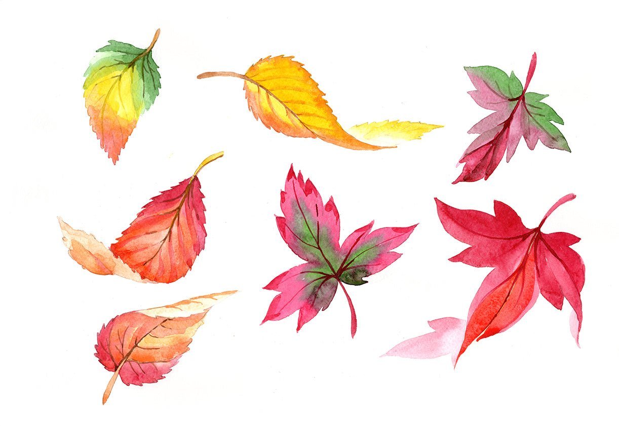 Осенние листья акварелью на прозрачном фоне фото