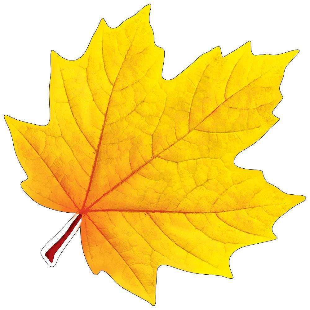 Осенние листья для вырезания на прозрачном фоне фото