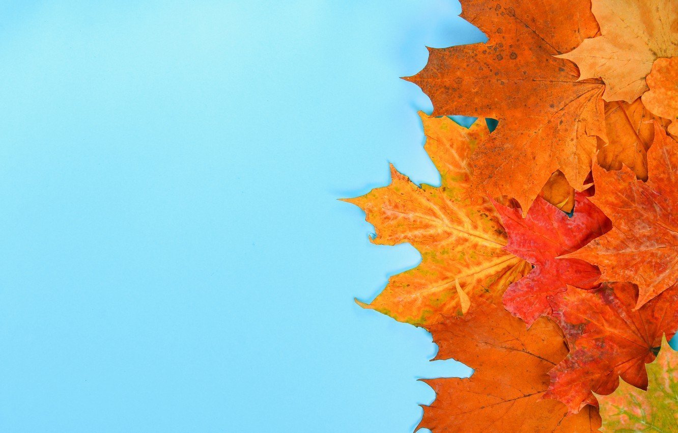 Осенний фоновый рисунок фото