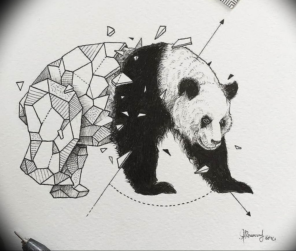 Панда рисунок эскиз фото