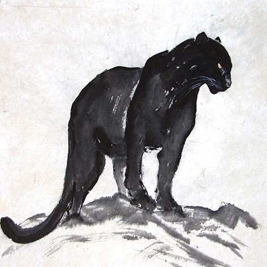 Пантера животное рисунок фото