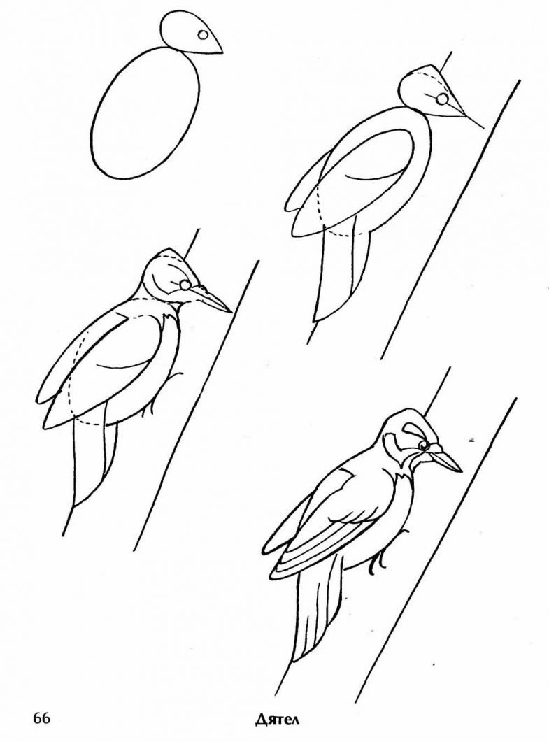 Перелетные птицы рисунок для детей поэтапно фото