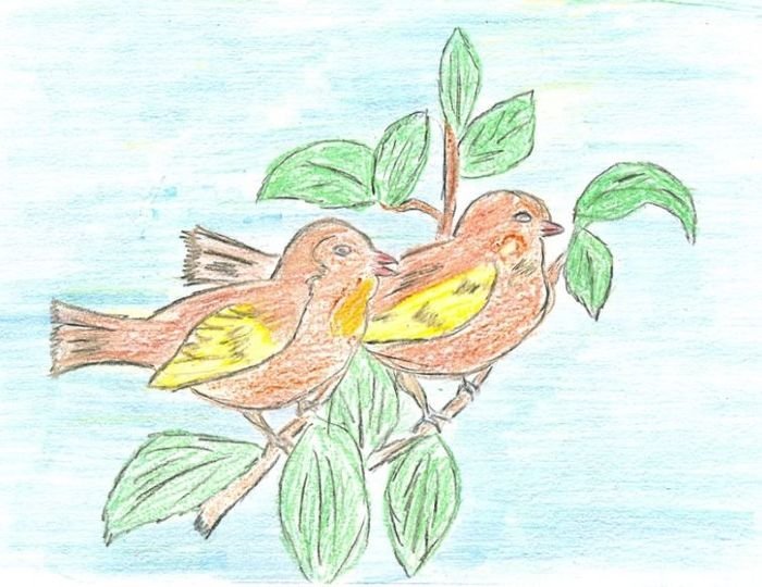 Пернатые птицы детские рисунки фото