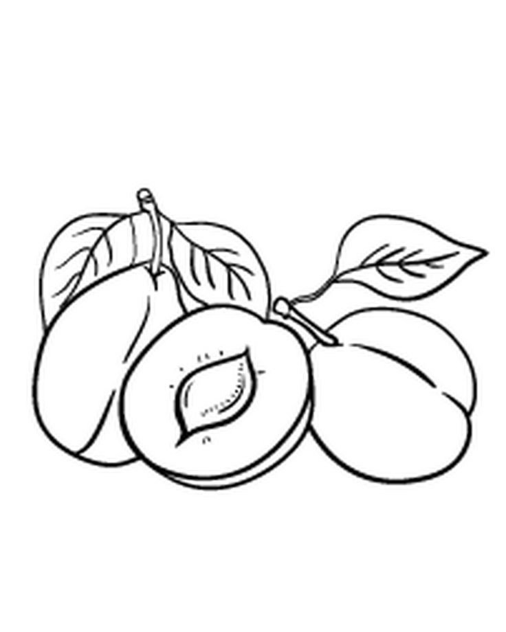 Персик контурный рисунок фото