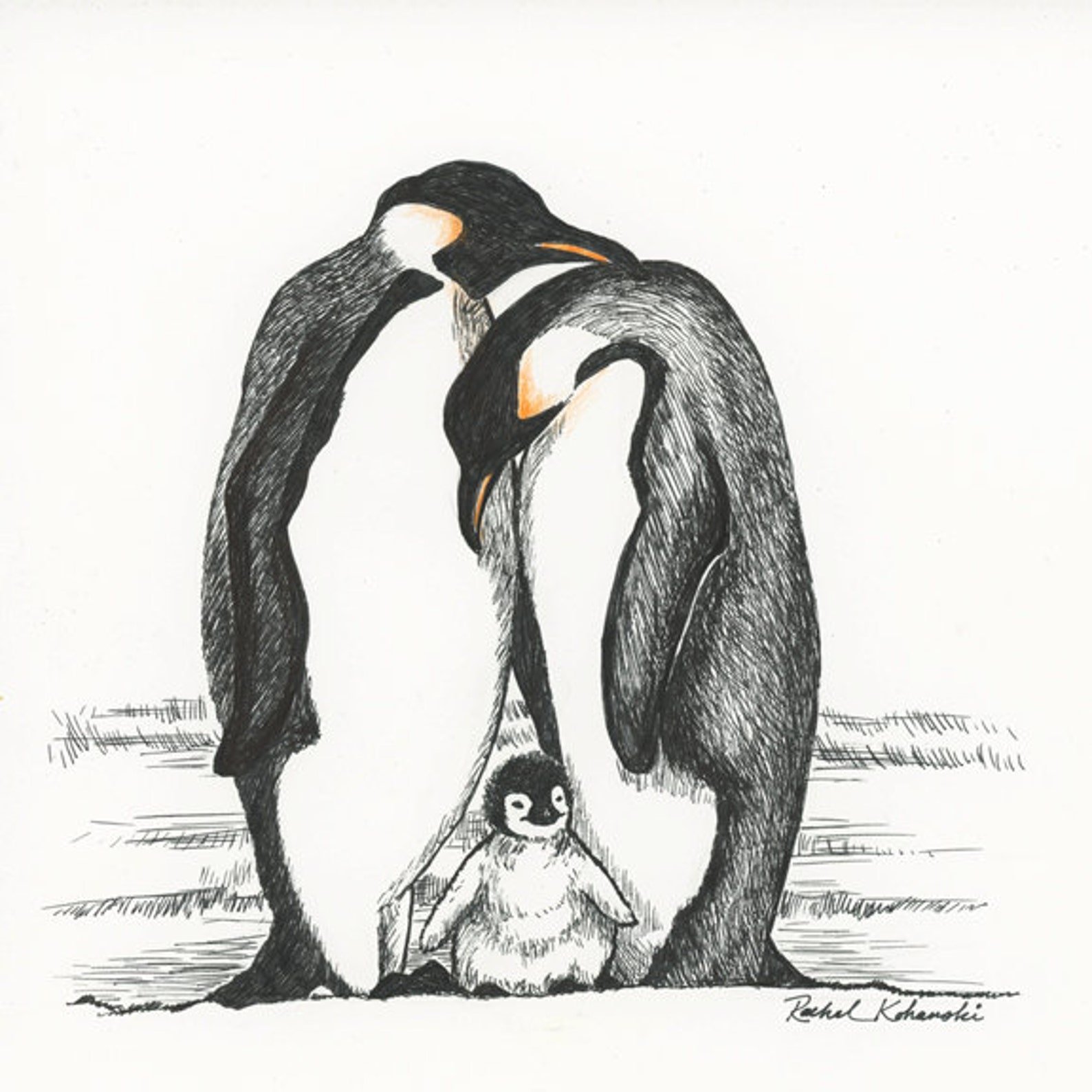 Пингвин эскиз рисунок фото