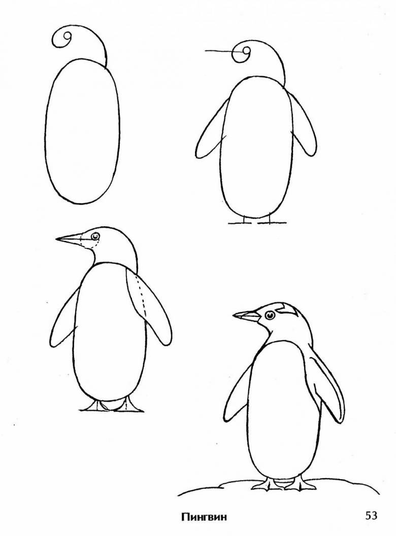 Пингвин рисунок для детей карандашом поэтапно легко и просто фото