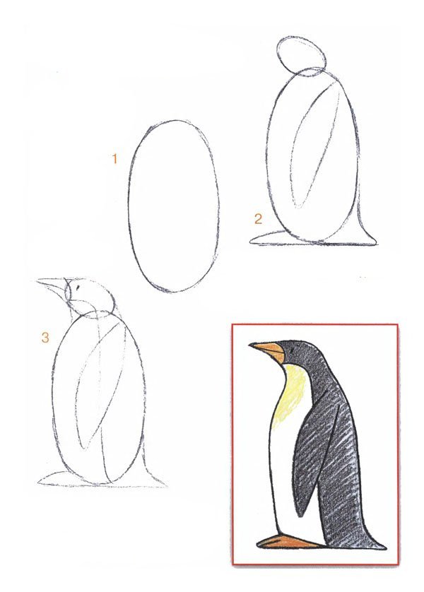 Пингвин рисунок поэтапно легко фото