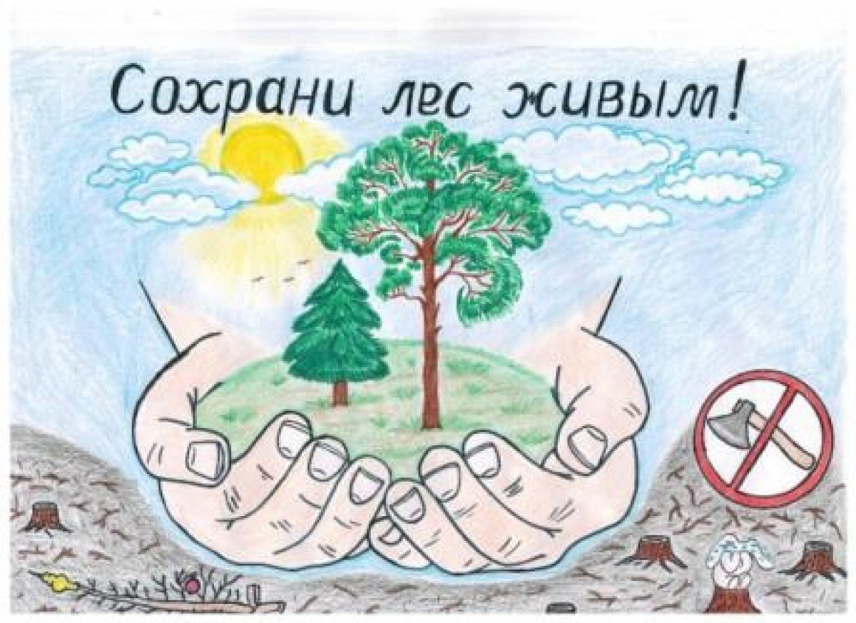 Плакат на тему экология легкий рисунок фото